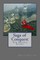 Saga of Conquest