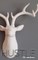 Hustle Deer Drawing Journal