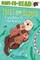 A Sea Otter to the Rescue