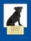 I Want A Pet Staffordshire Bull Terrier
