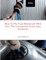 How To Fix Your Motorcycle With Zen