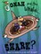 Jonah and the Whale... Shark?