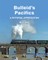 Bulleid's Pacifics-A Pictorial Appreciation