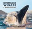 Humpback Whales