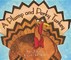 A Plump and Perky Turkey