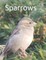 Sparrows