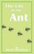 The Life of the Ant