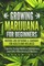 Growing Marijuana for Beginners Indoors and Outdoors & Cannabis for Health and Wellness