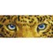 Deimantinė mozaika JAGUAR SPY 18X42
