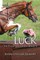Luck (The Eventing Series - Book 4