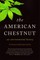 The American Chestnut