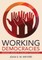 Working Democracies