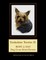 Yorkshire Terrier II