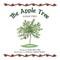 The Apple Tree a Cherokee Story