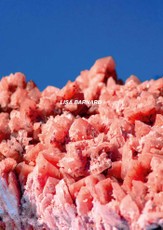 After Nature | Ulrike Crespo Photography Prize 2025