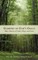 Glimpses of God's Grace