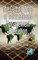 The Cutting Edge of International Management Education (Hc)