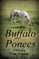 Buffalo Ponees