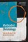 Methodist Christology