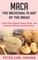 Maca - The Medicinal Plant of the Inkas