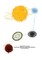 Erstwhile Orbits and Newformed Spheres
