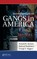 Introduction to Gangs in America