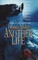 Another Life