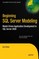 Beginning SQL Server Modeling