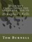 26 County Casualties of the Great War Volume VII