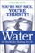 Water: For Health, for Healing, for Life