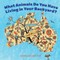 What Animals Do You Have Living in Your Backyard?