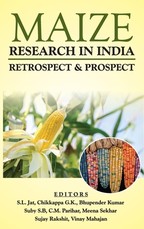 Maize Research In India Maize Research In India