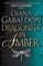 Dragonfly in Amber