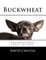 Buckwheat