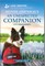 An Unexpected Companion