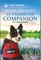 An Unexpected Companion