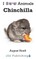 Chinchilla