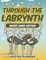 Through the Labyrinth Mazes Hard Edition