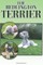 The Bedlington Terrier
