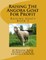 Raising The Angora Goat For Profit