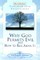 Why God Permits Evil and How to Rise Above It
