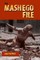 The Mashego File