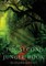 The Second Jungle Book