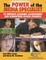 The Power of the Media Specialist to Improve Academic Achievement and Strengthen At-Risk Students