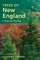 Trees of New England