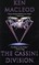 The Cassini Division