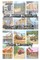 Log Home Package