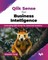 Qlik Sense for Business Intelligence