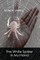The White Spider in My Hand