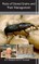 Pests of Stored Grains and Their Management